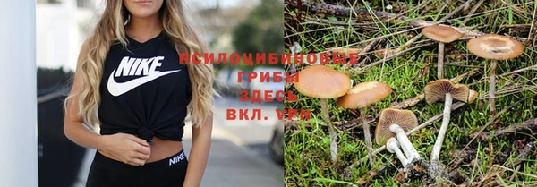 mix Алексеевка