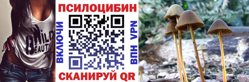 Псилоцибиновые грибы GOLDEN TEACHER  Ардатов 